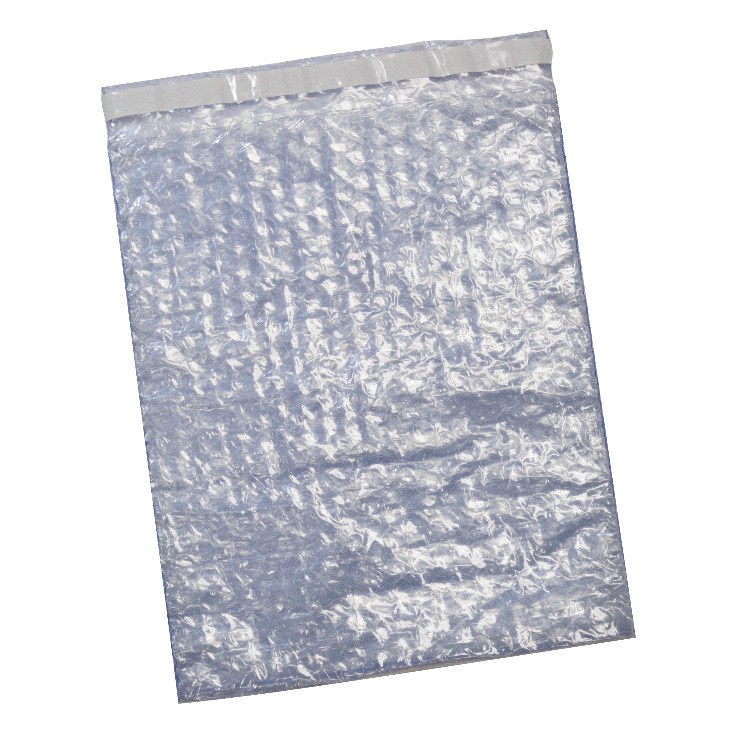 6 x 8 Anti-Static Humidity Independent Poly Zipper Bag - Blue Tinted (6  mil) - GBE Packaging Supplies - Wholesale Packaging, Boxes, Mailers,  Bubble, Poly Bags - Product Packaging Supplies
